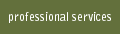 Professional Services